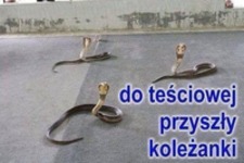 Koleżanki teściowej ;D