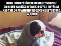 Coś wymyślę...