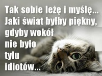 Tak sobie leżę i myślę... Jaki świat byłby piękny...