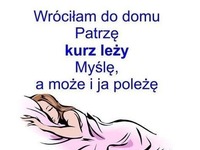 Kurz leży i ja ;D