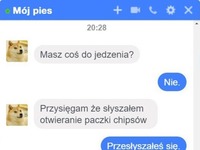 Takie mieszkanie z psem... MASAKRA!