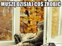 Muszę coś dzisiaj zrobić ;)