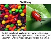 Już nigdy nie zjem LODÓW WANILIOWYCH i......! Blee! A ty wiesz z czego są zrobione Twoje SMAKOŁYKI!