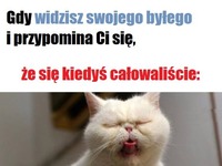 Co ja zrobiłam