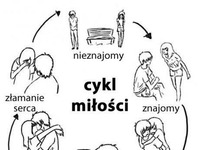 Typowy cykl miłości