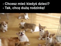 Duża rodzinka ;)