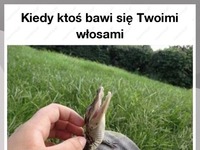 Kiedy ktoś bawi się Twoimi włosami