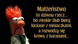 Tak wygląda małżeństwo