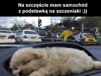 Słodko :)