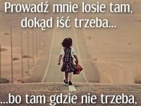 Prowadź mnie losie tam, dokąd iść trzeba...