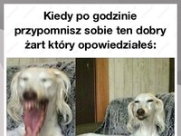 To było dobre!