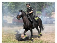 Na skrzyżowaniu na światłach stał konny policjant. Za nim zatrzymał się Jasiu, na rowerku. Zobacz co zrobił! haha ;D