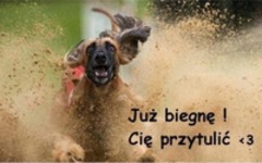 Już biegnę