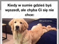 Jeszcze się zastanawiam