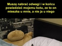 Kotek się pomylił ;)