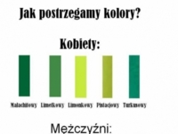 Jak postrzegamy kolory na przykładzie mężczyzn i kobiet, haha