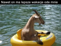 Udane wakacje ;D haha