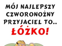 Łóżko