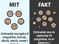 Ile tak naprawdę  ZMYSŁÓW ma człowiek? MIT/FAKT