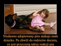 Niedawno adoptowany pies atakuje małe dziecko. Po chwili do rodziców dociera, co jest przyczyną takiej reakcji psa