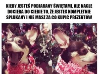 Życie tak szybko sie zmienia