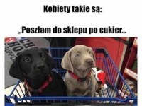 Kobiety takie są