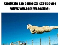 Zadzieram kiecę i lecę!