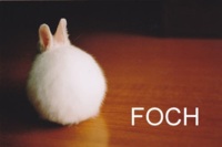 Foch :P