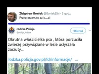 Właścicielka psa porzuciła zwierzę przywiązane w lesie