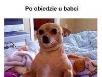 Po obiedzie u babci