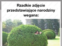 Narodziny wegana