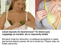 Liście kapusty do biustonosza? To naprawdę działa!