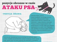 Pozycje obronne w razie ataku psa - warto wiedzieć