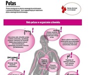 Potas w organizmie człowieka i jego źródła w pożywieniu