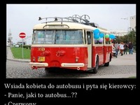 Kobieta i autobus