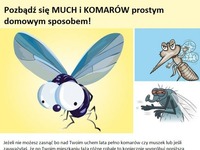 Pozbądź się much i komarów prostym, domowym sposobem!