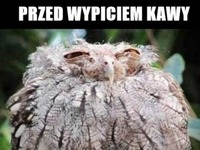 Przed i po wypiciu kawy ;)