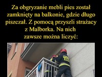 Za obgryzanie mebli pies został zamknięty na balkonie. Z pomocą przyszli strażacy! Na nich zawsze można liczyć!