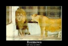 Rozmowa