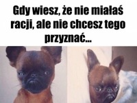 Nie przyznam się