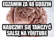 Egzamin za 48h