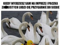 Kiedy wyjdziesz sam na imprezę