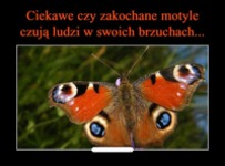 To nie głupie