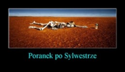 Poranek po sylwestrze