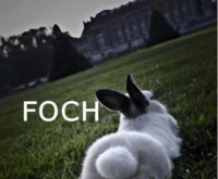 FOCH!