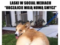 Takie są