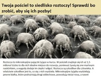 Twoja pościel to siedlisko roztoczy! Sprawdź co zrobić, aby się ich pozbyć!