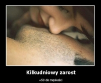 Kilkudniowy zarost