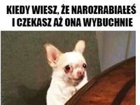 Odliczanie rozpoczęte