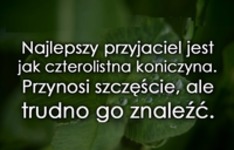 Najlepszy przyjaciel jest konieczyna